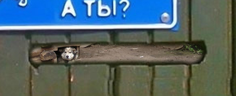 Фотожаба: Я Табличка