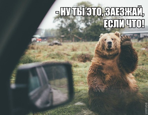 Мохнатые беспредельщики