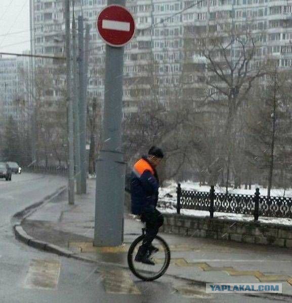 Порция картинок из сети
