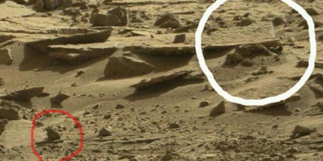 Уфологу удалось получить снимки трупа инопланетянина