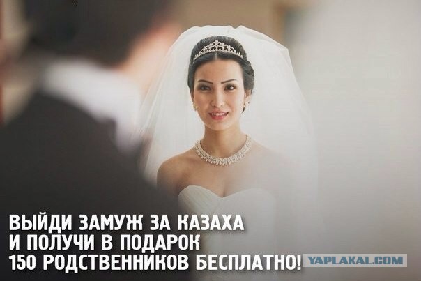 Коротко обо всех