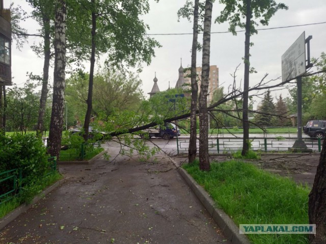 В Москве ураган!