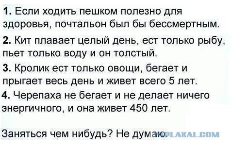 Неожиданные причины, почему быть ленивым полезно