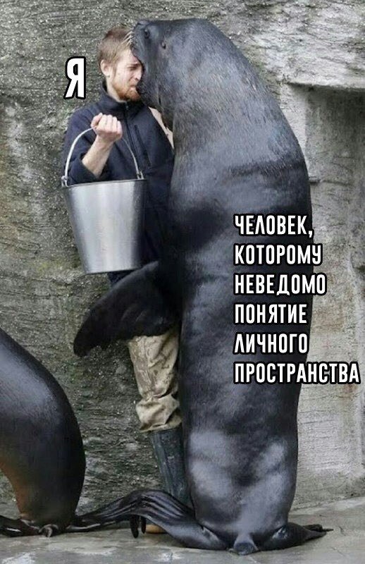 Нестандартный юмор