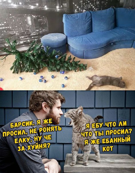 Так, граждане тунеядцы! Картинки, значит, смотрим