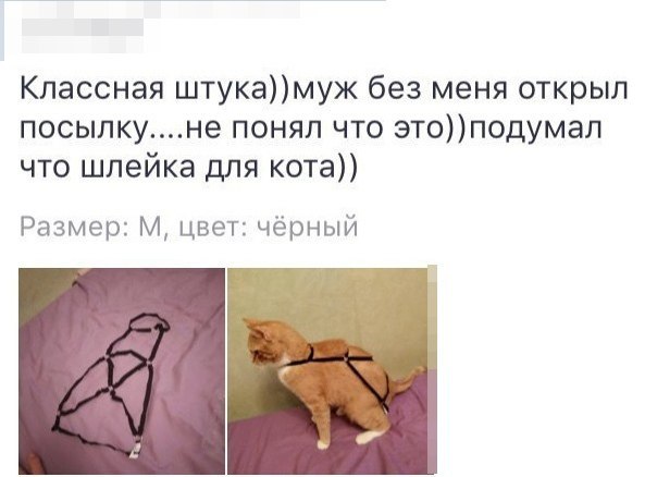 Нестандартный юмор