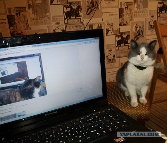 Суперняшности псто!