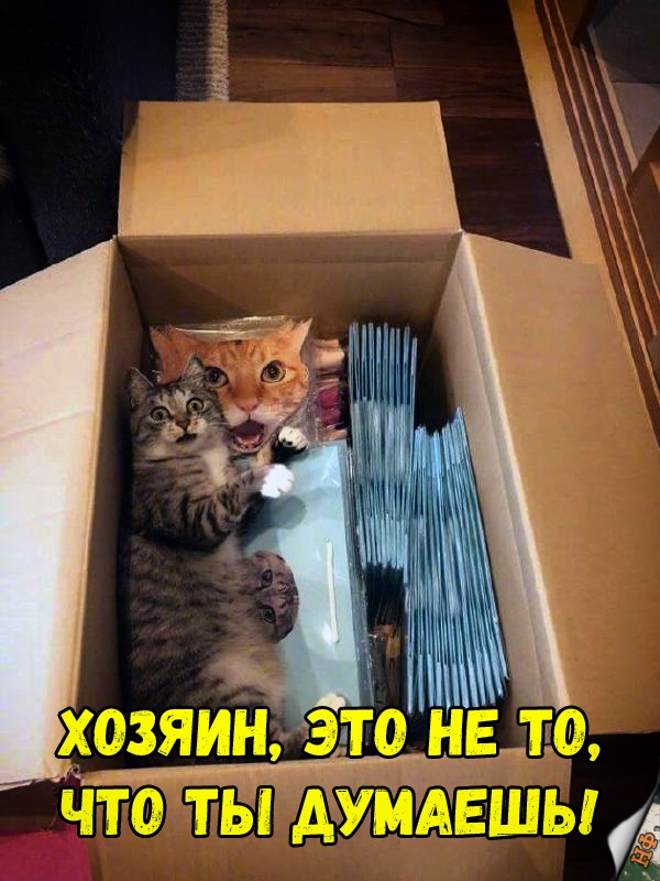 Нестандартный юмор