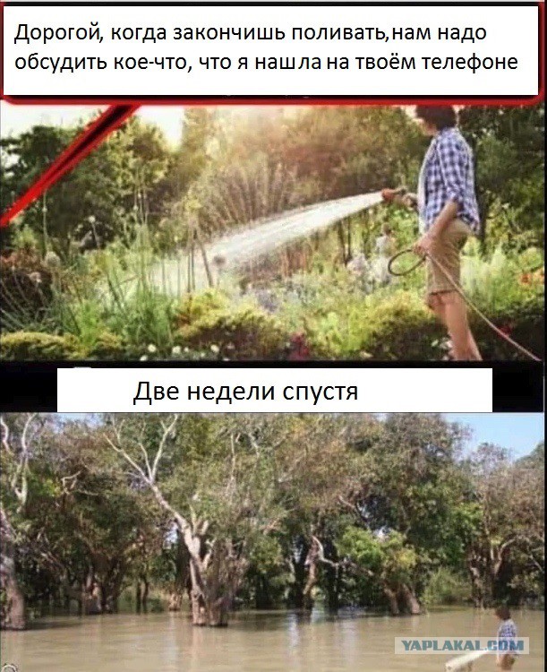 Картинки с надписями и анекдоты