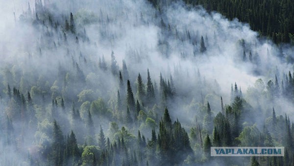 Пока дядя Вова  погружается на батискафе, Сибирь задыхается в дыму.