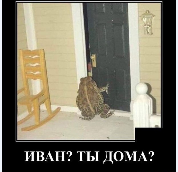 Немного картинок для настроения 16.01.20