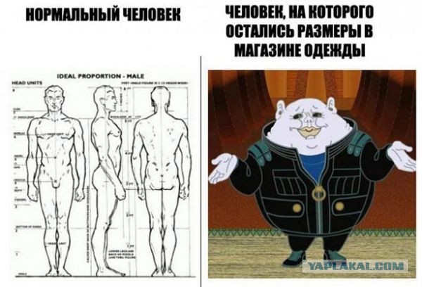 Картинки разнообразные. На злобу дня и на доброту (23.09)