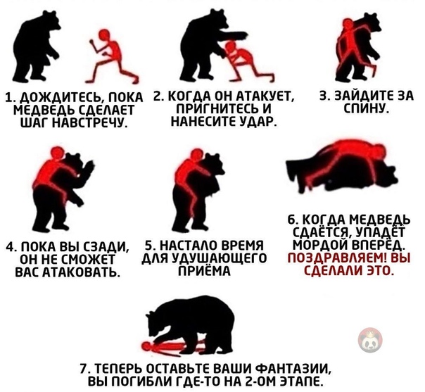 Немного картинок для настроения 16.11.20