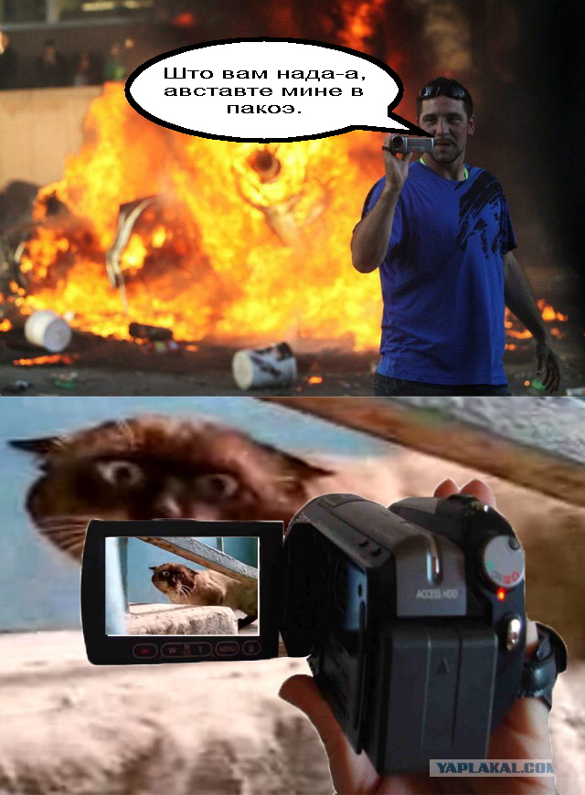 Фотожаба: Что же его так заинтересовало?