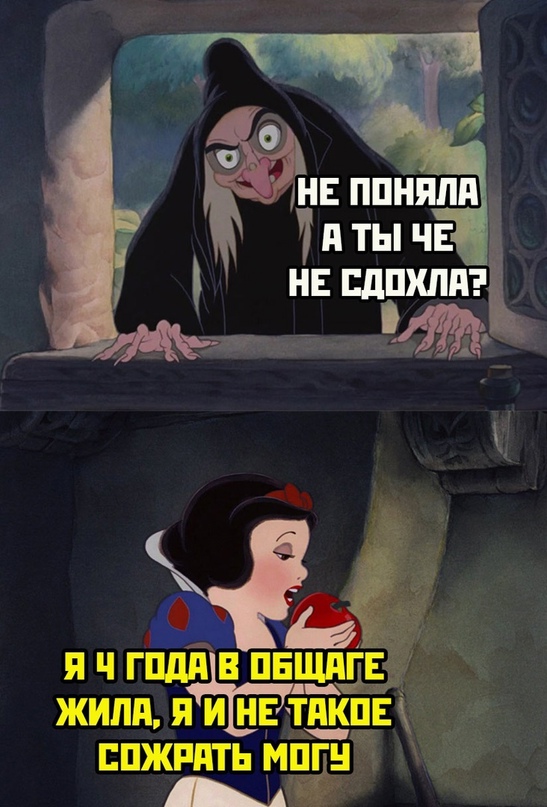 Весёлый полтишок 18.09