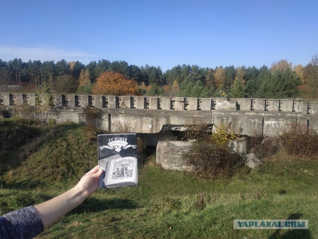 ЯП кругосветка. Этот проект завершился!