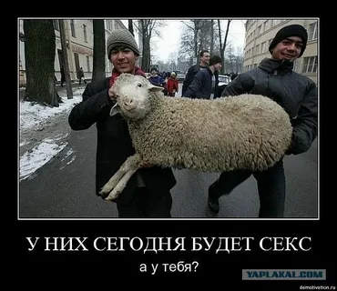 Верховный суд РФ признал экстремистским «международное общественное движение ЛГБТ»