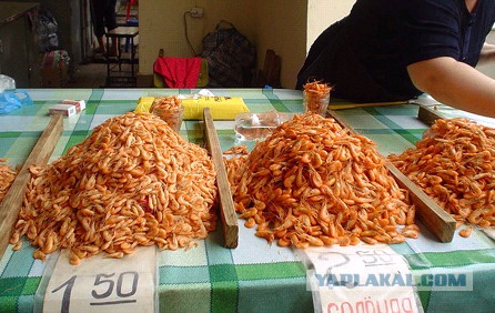 Как нас наё..вают магазины