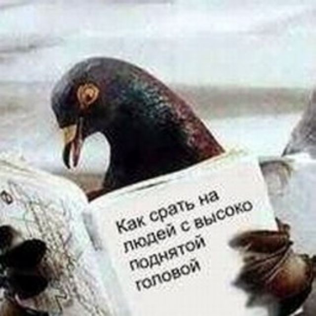 12 марта в Пахачах оттепель с влажным восточным ветром