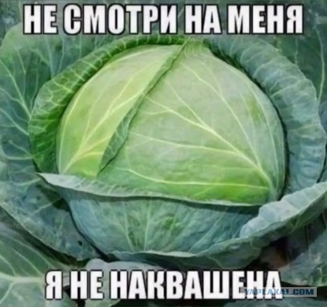 Зелёная тема