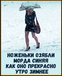35 картинок от соседа Петросяна
