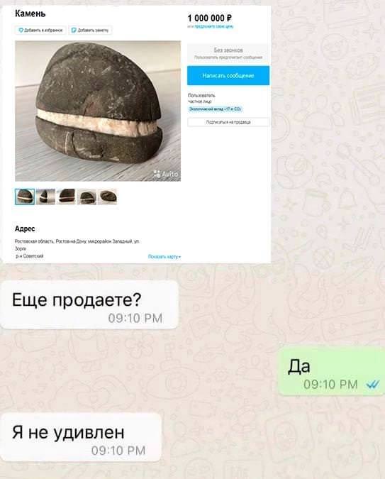 Веселые картинки в пятницу (22.08)