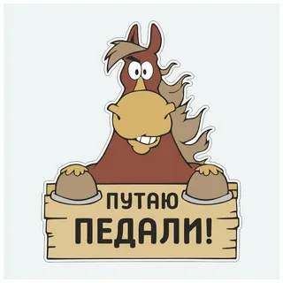 В Шереметьево водитель выезжал с территории аэропорта, но оплачивать парковку не собирался