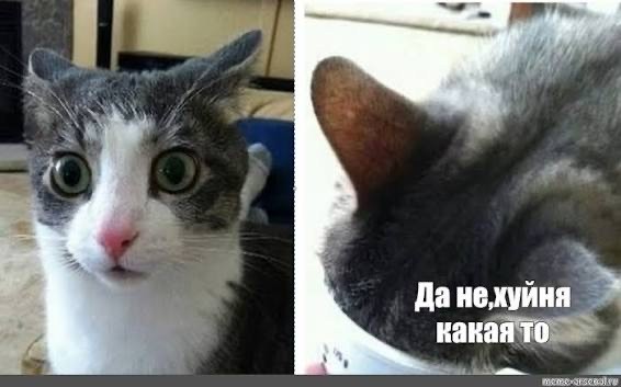 Нет у вас методов против Кости Сапрыкина