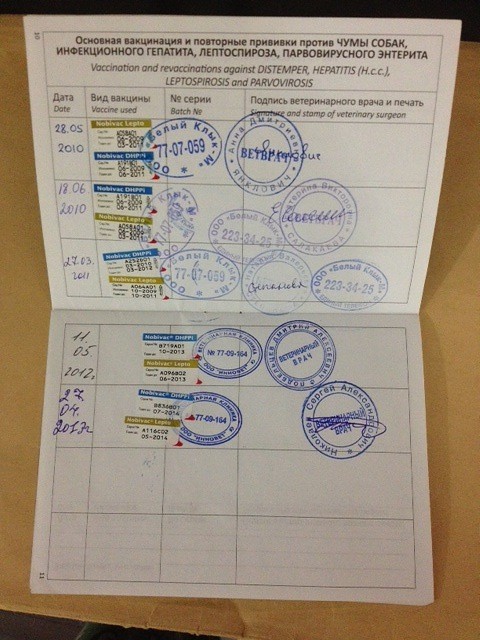 Без паспорта, без имени, погремуха «Ржавый»