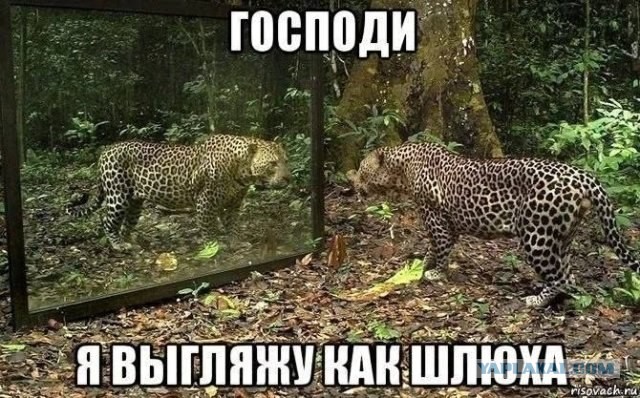 Так себе картинки 22.06.26