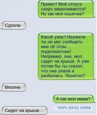 Смешные комментарии из социальных сетей