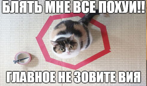 Действительно это работает!