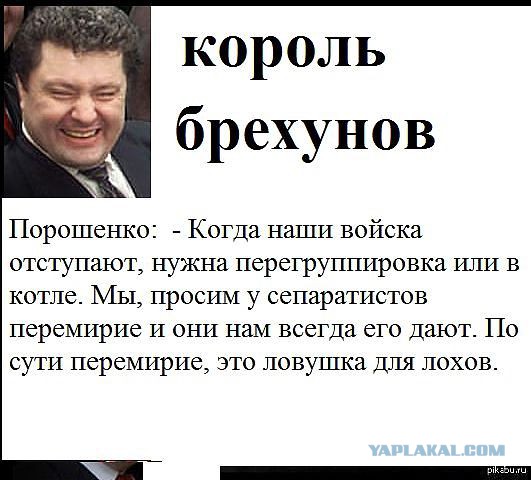 Выборы в Новороссии