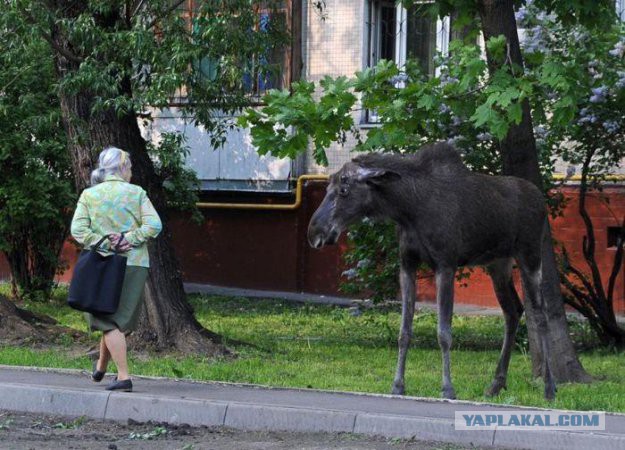 Вот это меня торкнуло