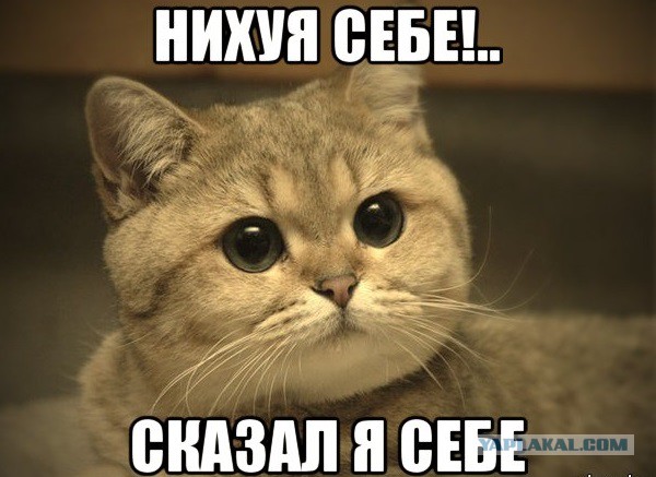 Параллельные миры, гораздо ближе