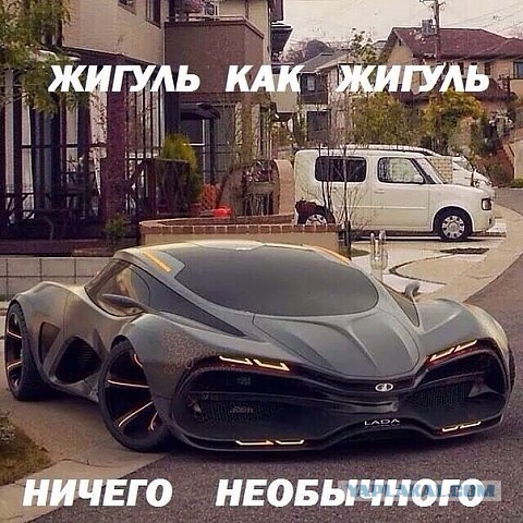 Прикольные фото и картинки