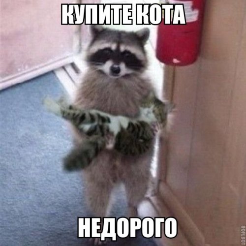 Быдло на трассе