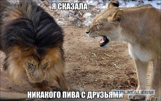 Злые шутки или минутка сарказма на ЯП-е, 16+