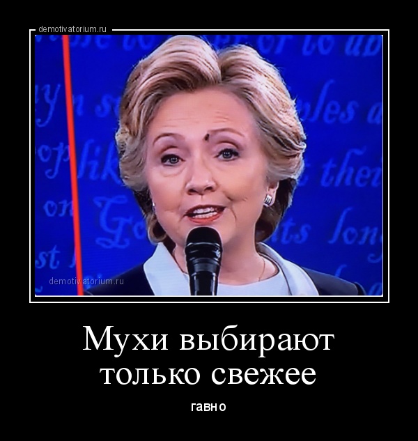 Муха на брови Хиллари Клинтон во время теледебатов стала звездой соцсетей