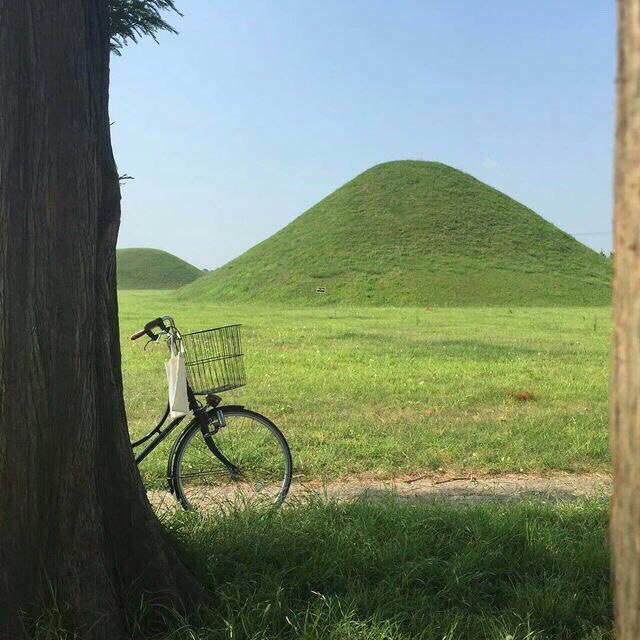 Всякие разные картинки