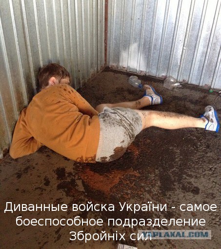Наказали водилу маршрутки за унижение пацана