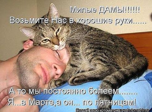 Порция картинок