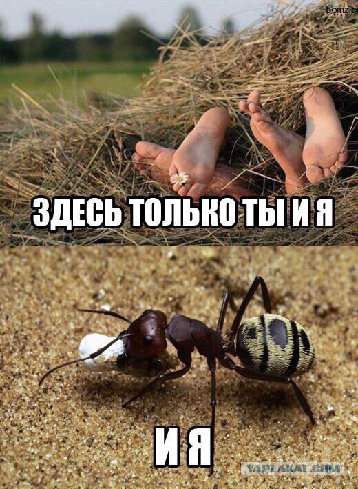 Минутка лёгкой наркомании и деградации