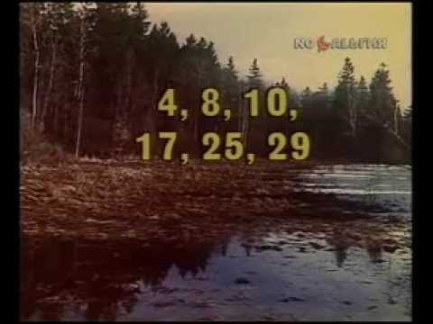 Я УВБ–76. Загадочное радио, вещающее из болота под Петербургом, поставило радиолюбителей в тупик