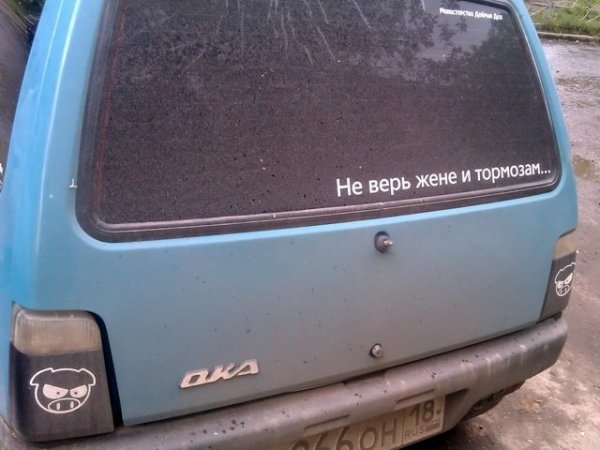 Прикольные картинки абавсём