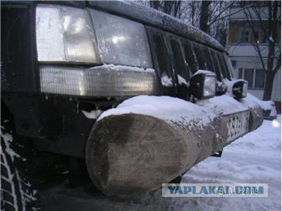 Лада-береза