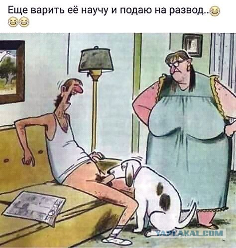 Котэ в студию...