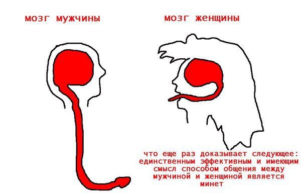 Слегка аморальный и лютый юмор. Только для ценителей