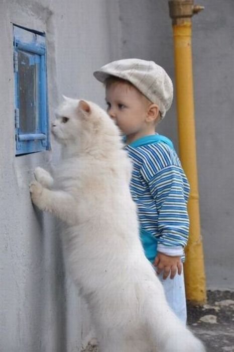 Котовторник!