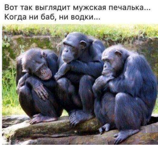 Немного картинок на вечер
